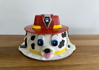 Paw Patrol